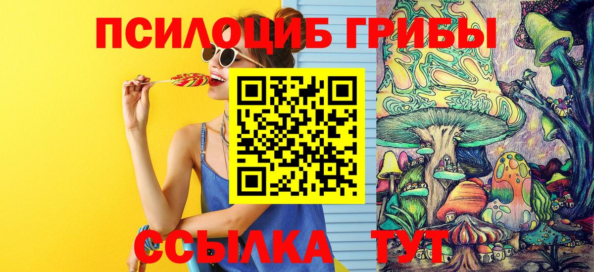 Галлюциногенные грибы Psilocybe  Вход с VPN  Галлюциногенные грибы мицелий  Амурск 